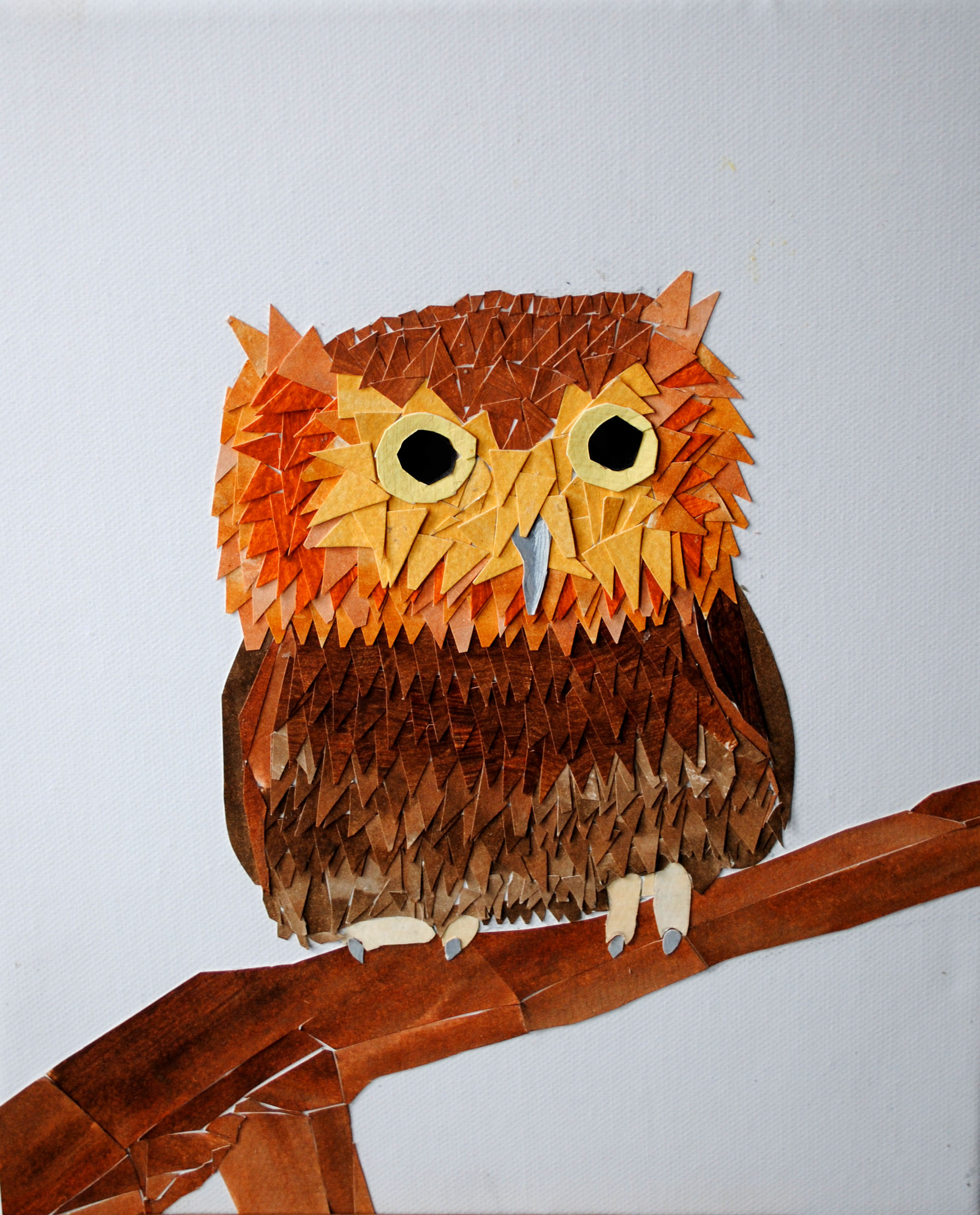 Paper Owl